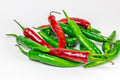 شطه حاره