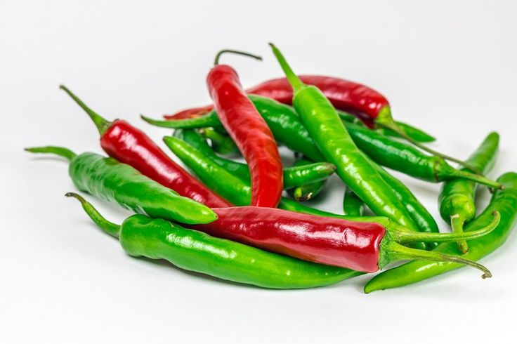 شطه حاره