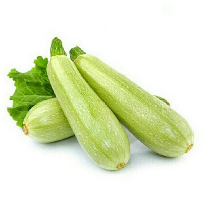 كوسه فريش
